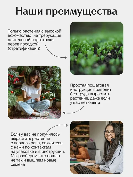 Окно в сад Бенгальские огни Набор для выращивания, вариант, фото 5