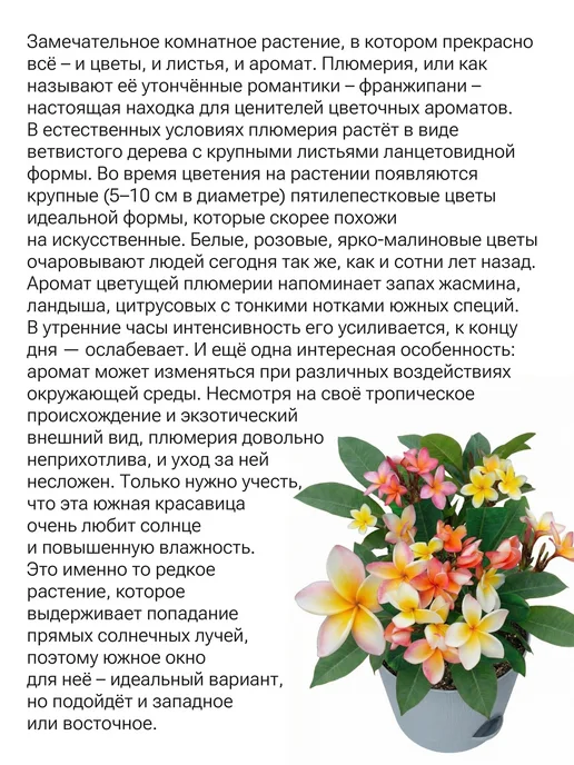 Окно в сад Франжипани микс (плюмерия) Набор для выращивания, вариант, фото 2