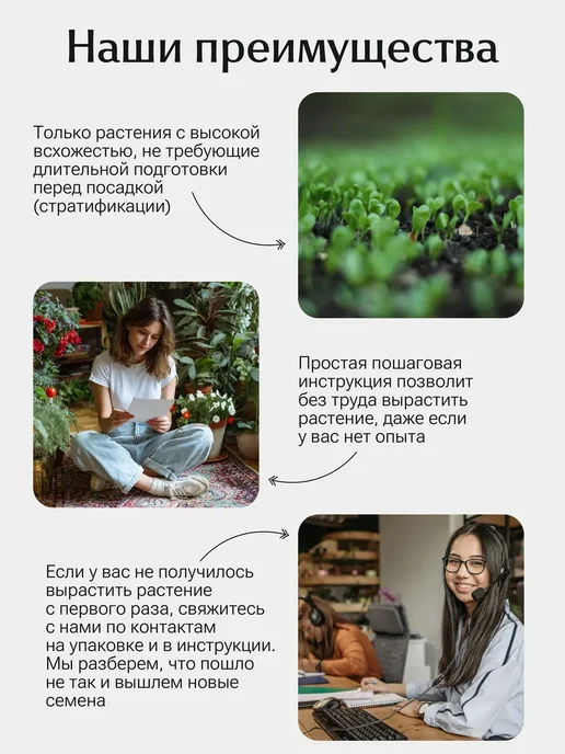 Окно в сад Франжипани микс (плюмерия) Набор для выращивания, вариант, фото 4