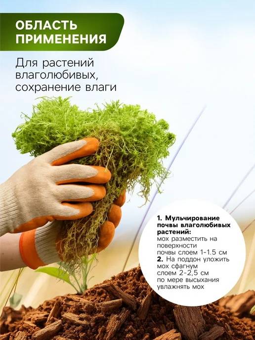 Zeriazor Мох сфагнум для террариумов 3 литра, вариант, фото 4