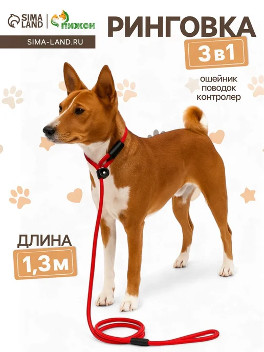 Zeriazor Ринговка для собак, красный