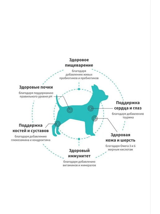 Сухой корм Grandorf' Свежий для собак, мелкие, лосось, 1 кг, фото 4