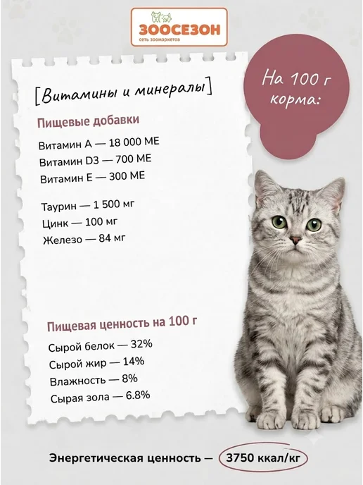 Сухой корм AlphaPet Superpremium Кошек для собак, взрослые, говядина, 3 кг, фото 4