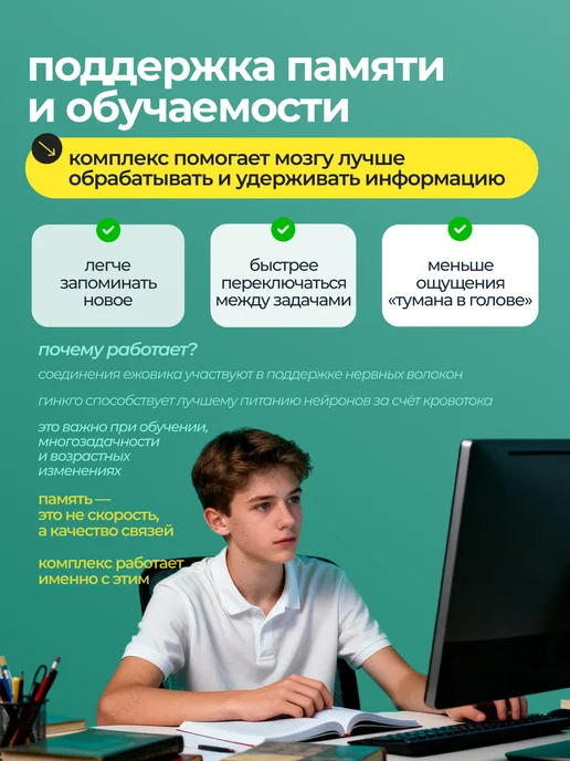 ALTIME Ежовик гребенчатый порошок 100г, Ежовик гребенчатый и Гинкго, фото 3