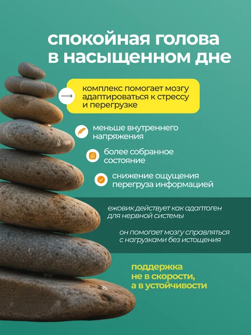 ALTIME Ежовик гребенчатый порошок 100г, Ежовик гребенчатый и Гинкго, фото 5