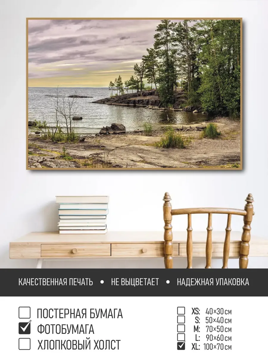 Постер на фотобумаге Сосны на берегу в карелии, 100х70 см