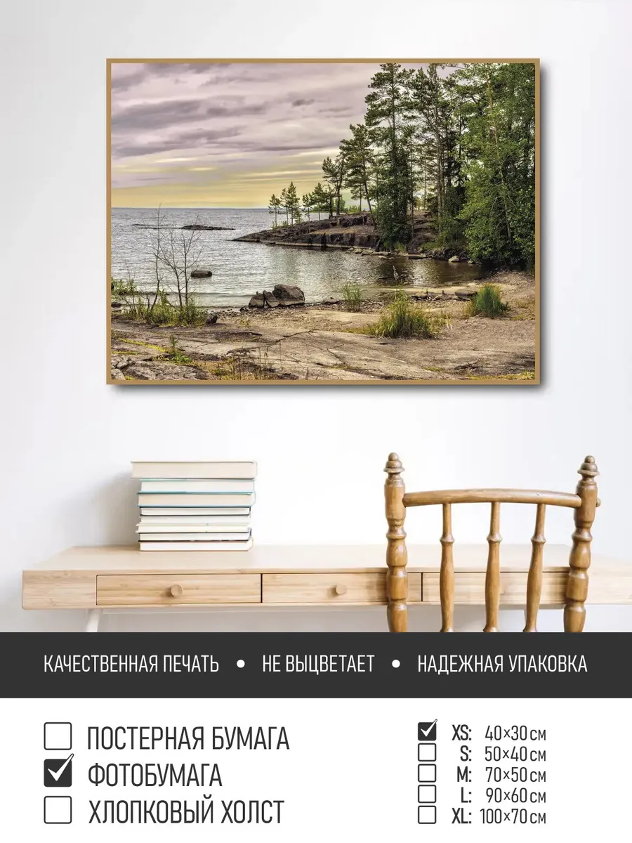Постер на фотобумаге Сосны на берегу в карелии, 40х30 см