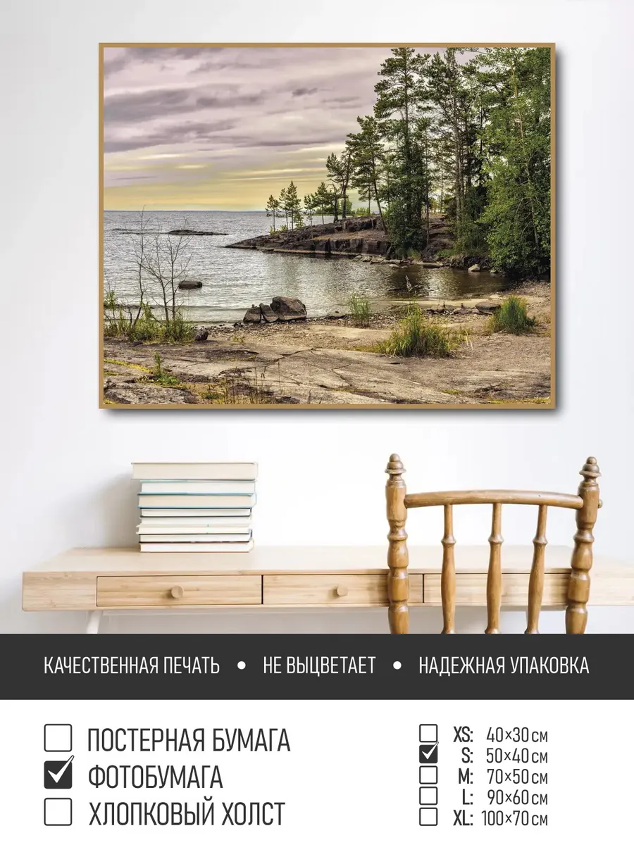 Постер на фотобумаге Сосны на берегу в карелии, 50х40 см