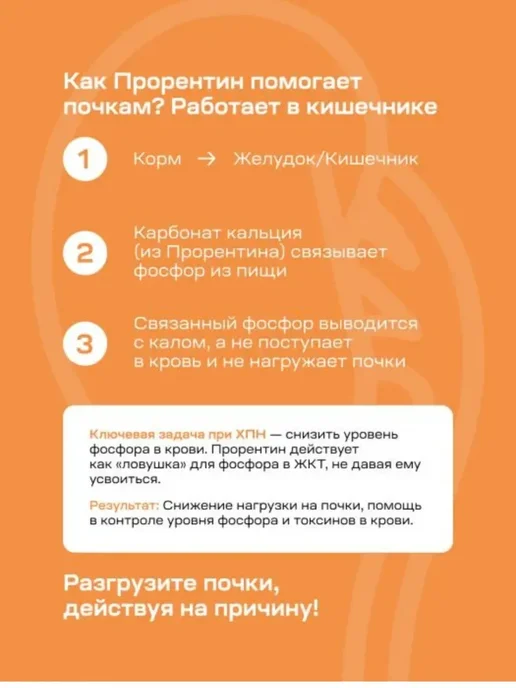 Прорентин для кошек и собак, порошок при ХПН, 180 г, 60 г, фото 2