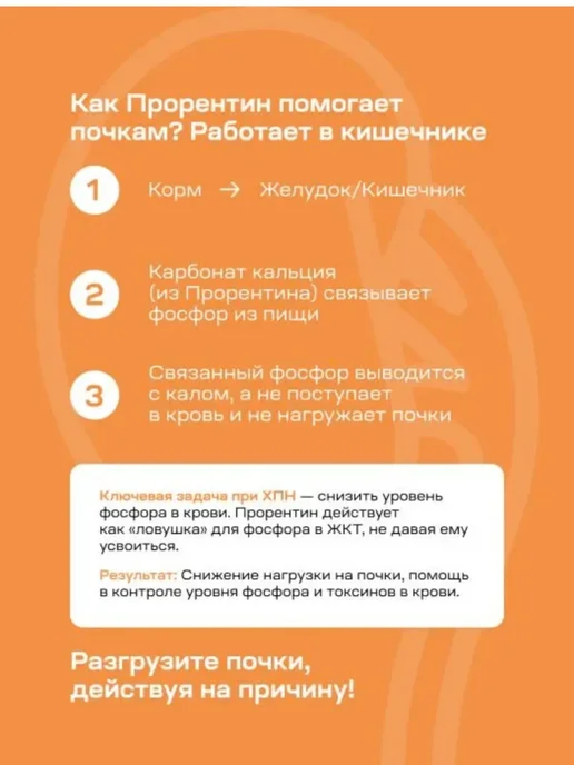 Прорентин для кошек и собак, порошок при ХПН, 180 г, 180 г, фото 2