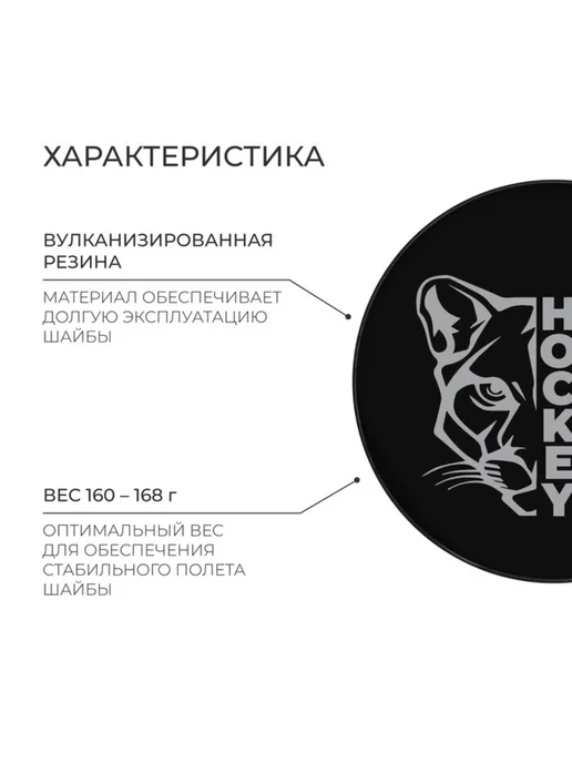 WINTER STAR Хоккейная шайба взрослая дюйм 7.6 см, черный, фото 2