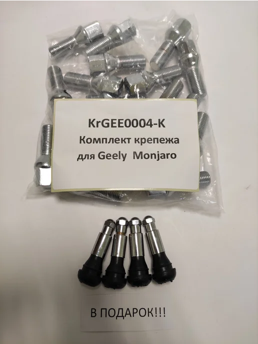 LS Комплект крепежа для Geely Monjaro - болт конус хром, вариант