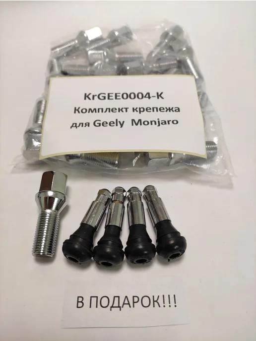 LS Комплект крепежа для Geely Monjaro - болт конус хром, вариант, фото 4
