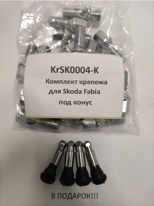 LS Комплект крепежа для Skoda Fabia - болт конус хром, 20 шт