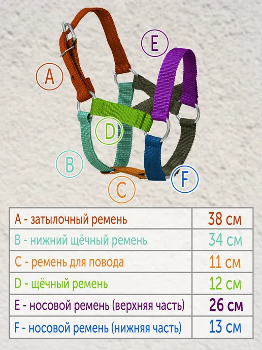 REITER Недоуздок для пони из сыромятной кожи, бежевый, фото 2