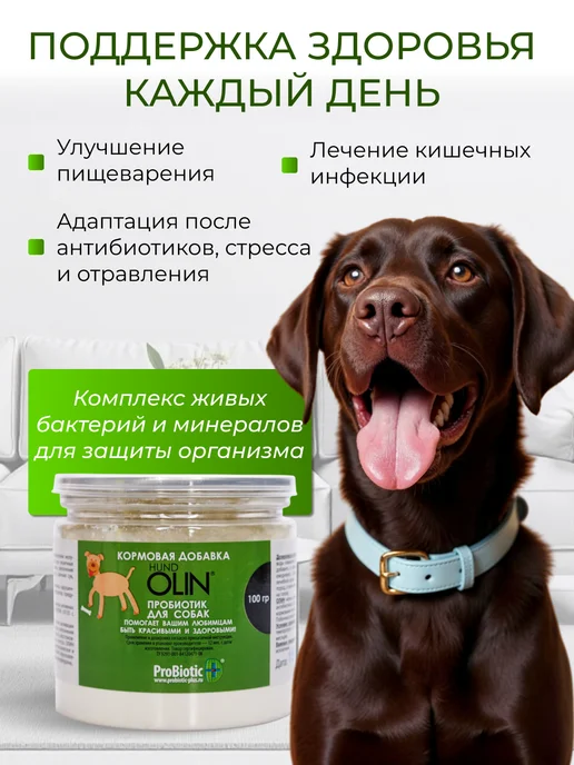 OLIN мощный пробиотик для собак банка 100 г, 100 г, фото 3