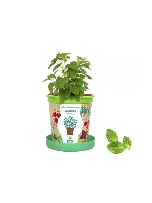 Happy Plants Набор для выращивания растений Мелисса, вариант, фото 3