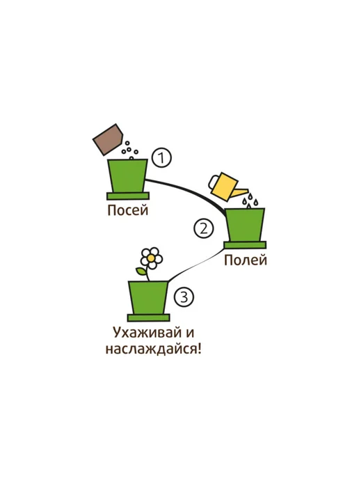 Happy Plants Набор для выращивания растений бальзамин в горшке, вариант, фото 2