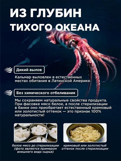 Ультрамарин Кальмар гигантский без кожицы натуральный, 185 г - 3 шт, 185 г, 3 шт, фото 6