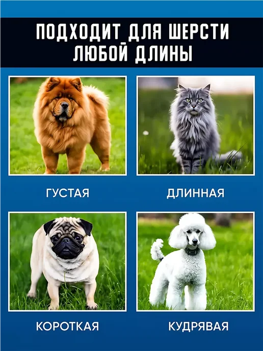 Триммер для стрижки собак и кошек, белый, фото 6