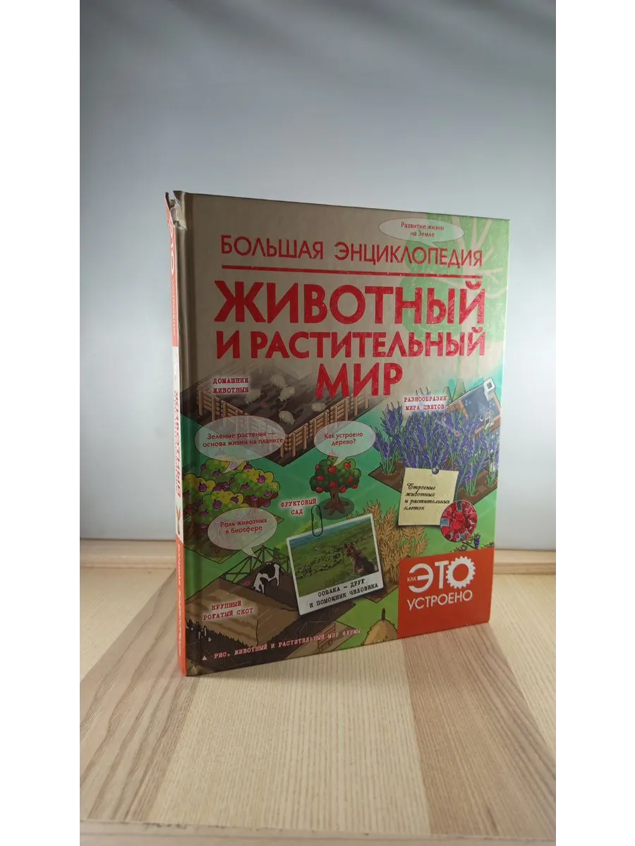 Большая энциклопедия. Животный и растительный мир