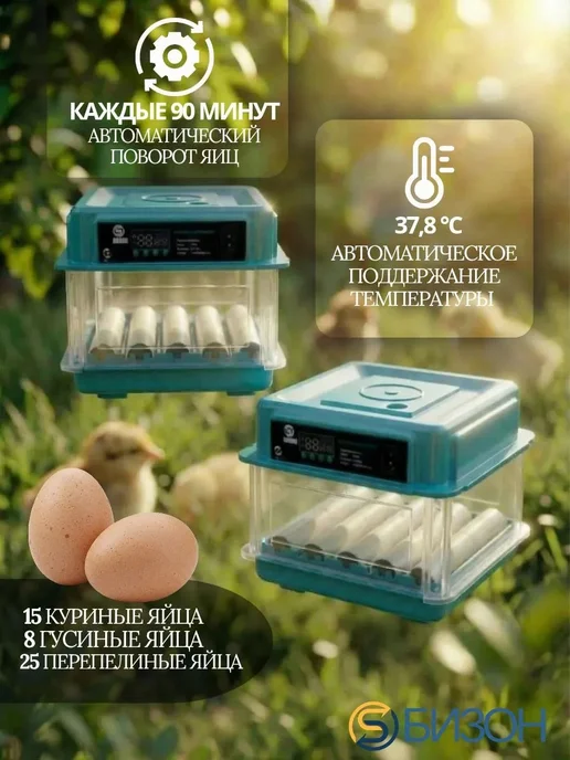 Bizon Инкубатор автоматический электронный на 15 яиц, голубой, фото 3