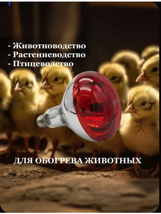 Инфракрасная лампа для обогрева птиц и животных 275 ват, вариант, фото 2