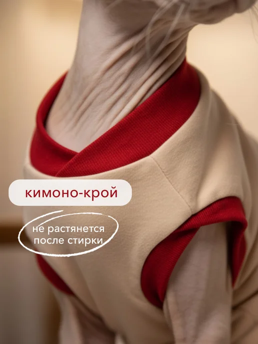 ALFAKOT Одежда для кошек. Футболка для сфинксов взрослых из хлопка, вариант, фото 2