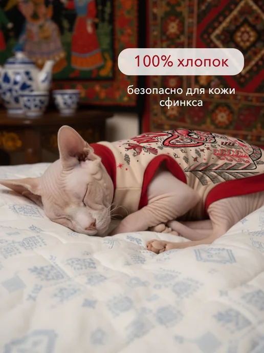 ALFAKOT Одежда для кошек. Футболка для сфинксов взрослых из хлопка, вариант, фото 4
