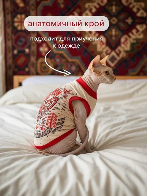 ALFAKOT Одежда для кошек. Футболка для сфинксов взрослых из хлопка, вариант, фото 7