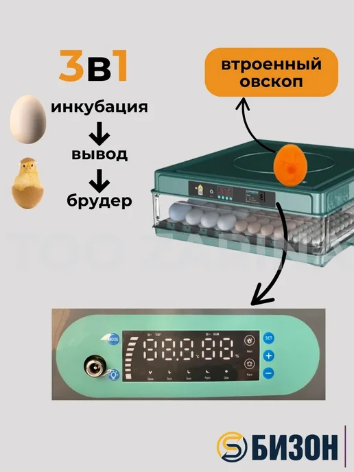 Bizon Инкубатор электрический автоматический на 130 яиц, голубой, фото 3