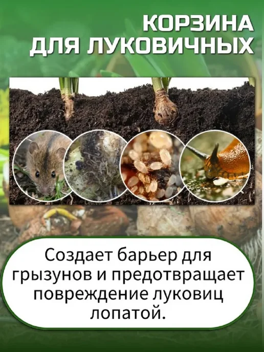 Корзина для луковичных прямоугольная 25х30, 2 штуки, 25x30, фото 2