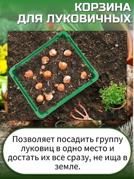 Корзина для луковичных прямоугольная 25х30, 2 штуки, 25x30, фото 3