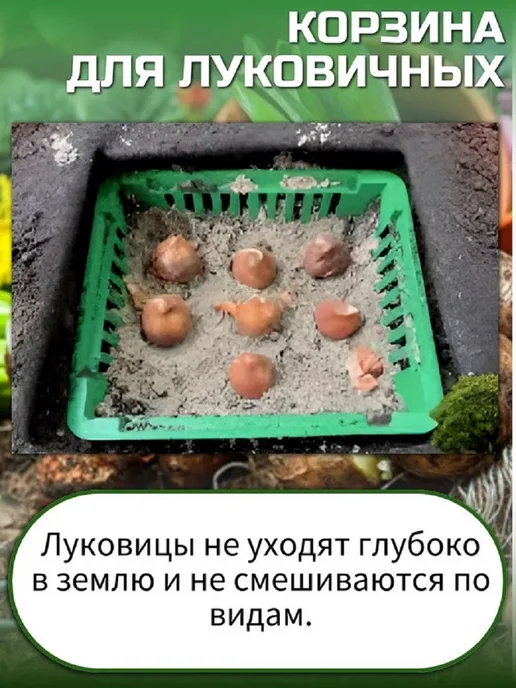Корзина для луковичных прямоугольная 25х30, 2 штуки, 25x30, фото 4