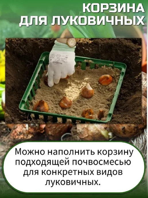 Корзина для луковичных прямоугольная 25х30, 2 штуки, 25x30, фото 5