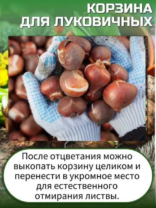 Корзина для луковичных прямоугольная 25х30, 2 штуки, 25x30, фото 6