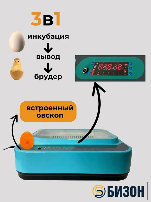 Bizon Инкубатор для яиц автоматический на 24 яйца, голубой, фото 2