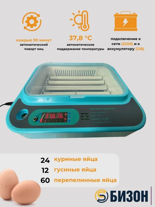 Bizon Инкубатор для яиц автоматический на 24 яйца, голубой, фото 3