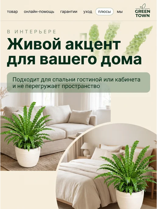 GREEN TOWN Микросорум Крокодил живое растение, зеленый, фото 7