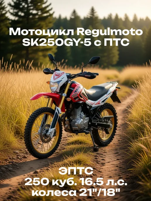 Мотоцикл Regulmoto SK250GY-5 с ПТС, красный