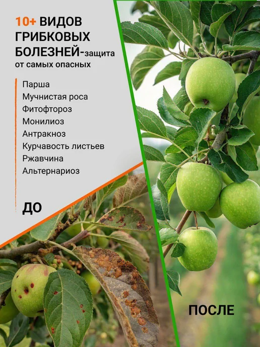 Бордоская жидкость,для защиты культур от болезней 500 мл, 500 мл, фото 3