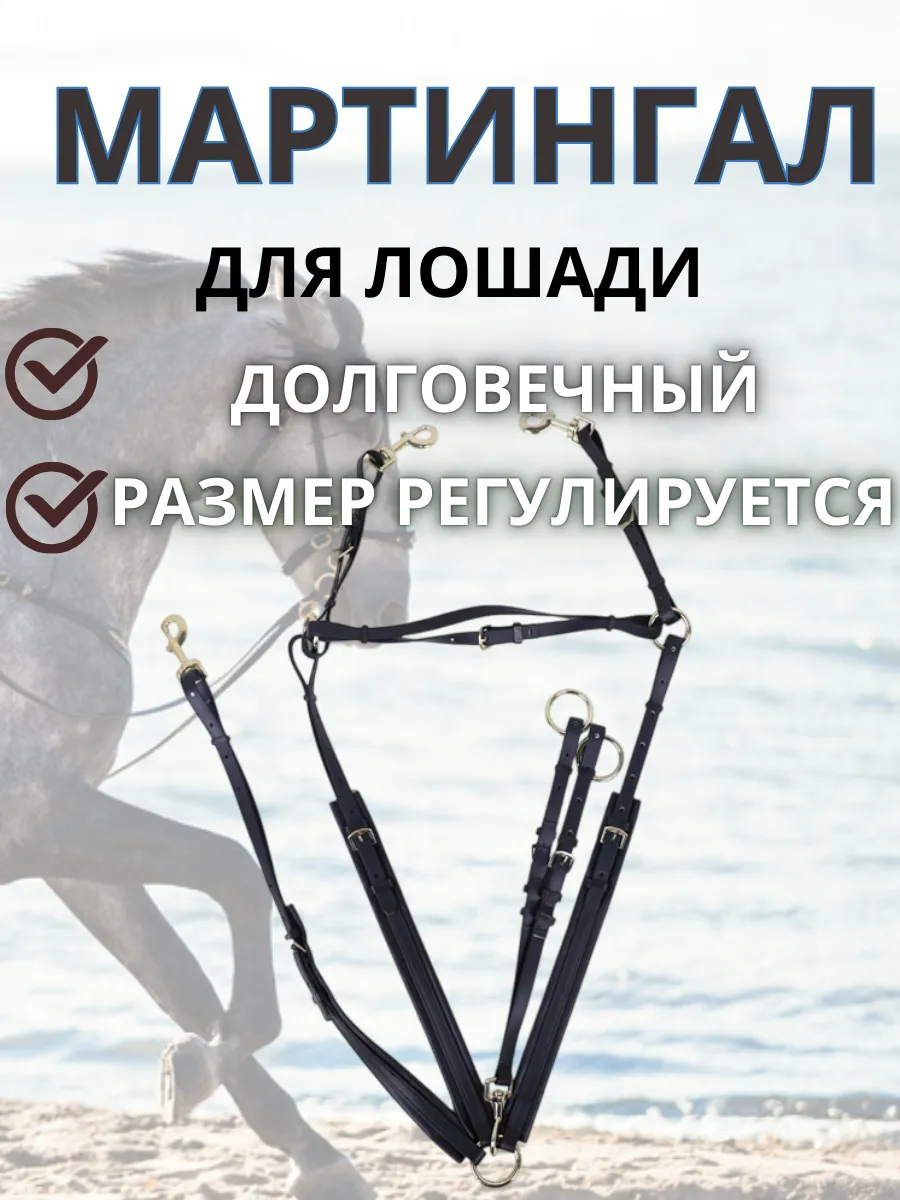 Мартингал для лошади