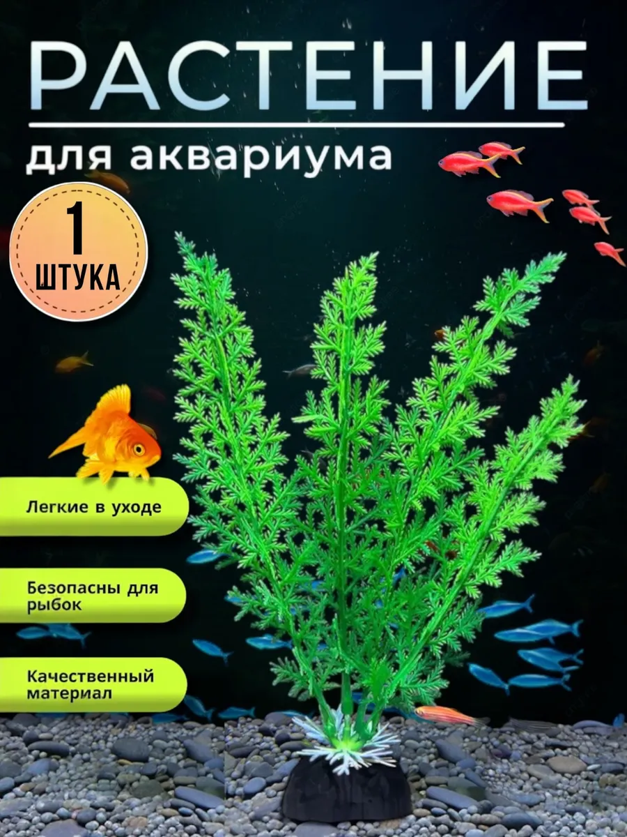 Водоросли в аквариум растение