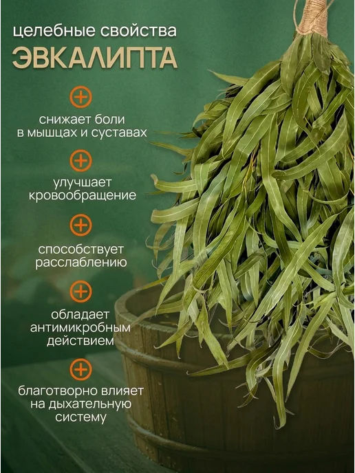 Аль-Бан Веники для Бани Эвкалипт-6шт, 6 шт, фото 2