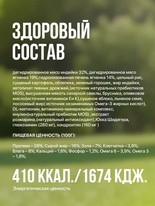 Сухой корм ХАТИКО Holistic Облепихой для собак, мелкие, ягненок, 10 кг, фото 3