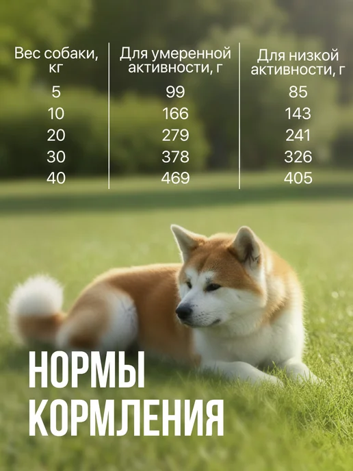 Сухой корм ХАТИКО Holistic Облепихой для собак, мелкие, ягненок, 10 кг, фото 4
