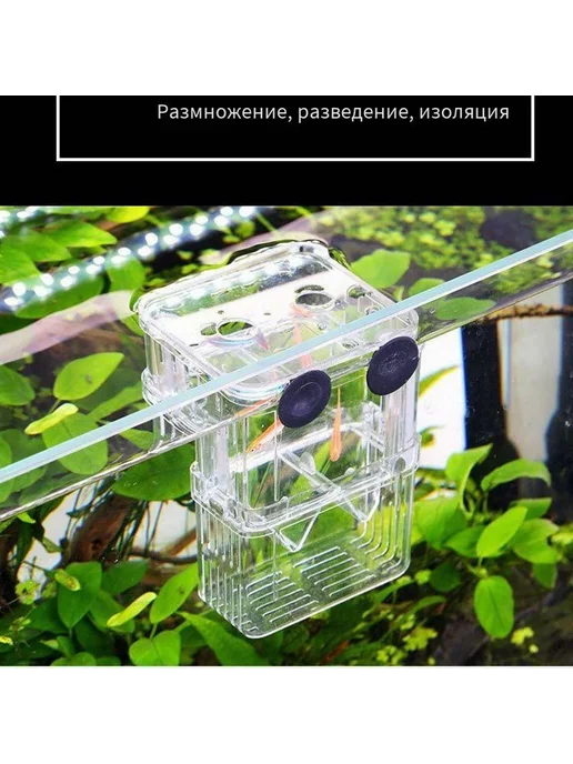 Комплект аксессуаров для аквариума Шоколадный, вариант, фото 4