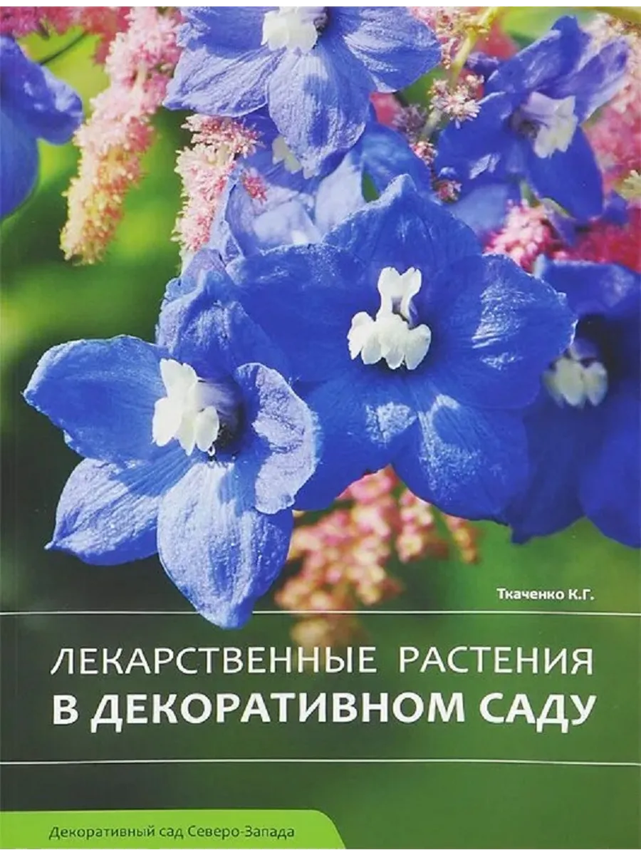 Лекарственные растения в декоративном саду