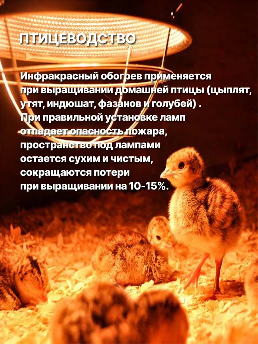 КЭЛЗ Инфракрасная лампа для курятника цыплят птиц животных 60Вт, 60 Вт, фото 2