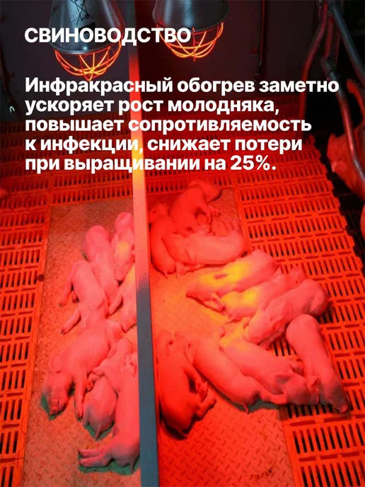 КЭЛЗ Инфракрасная лампа для курятника цыплят птиц животных 60Вт, 60 Вт, фото 3